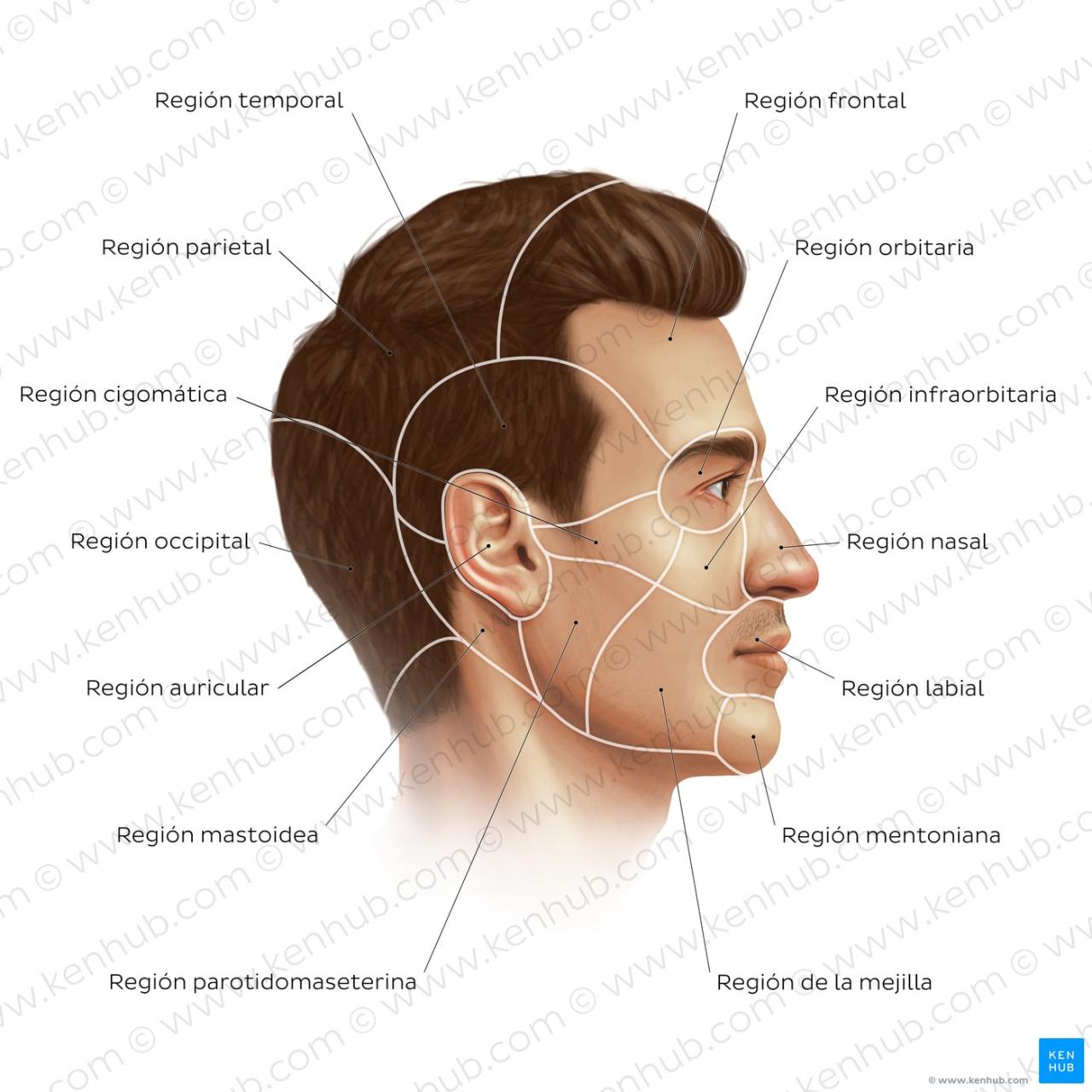Cara Atasi ‘Maskne’ – Jerawat Akibat Pakai Mask